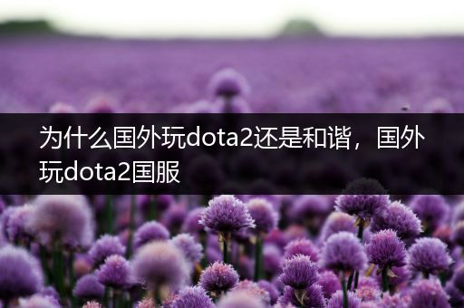 为什么国外玩dota2还是和谐，国外玩dota2国服