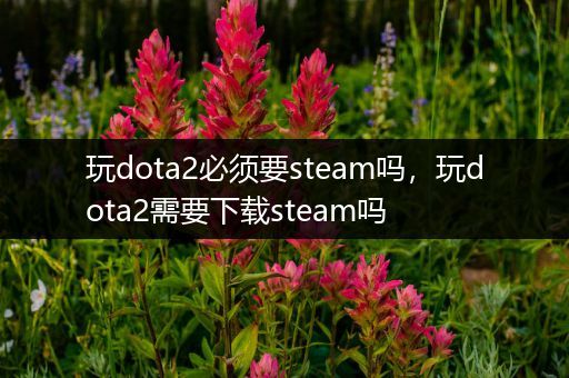 玩dota2必须要steam吗，玩dota2需要下载steam吗