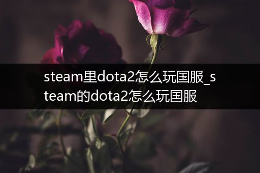 steam里dota2怎么玩国服_steam的dota2怎么玩国服