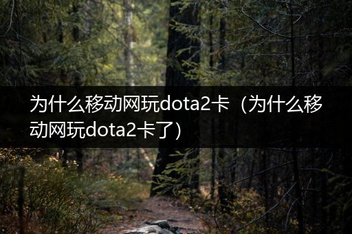 为什么移动网玩dota2卡（为什么移动网玩dota2卡了）