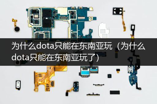 为什么dota只能在东南亚玩（为什么dota只能在东南亚玩了）