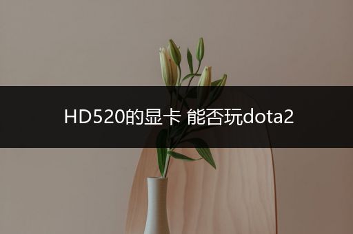 HD520的显卡 能否玩dota2