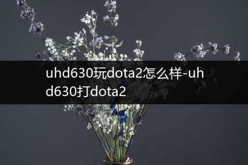 uhd630玩dota2怎么样-uhd630打dota2