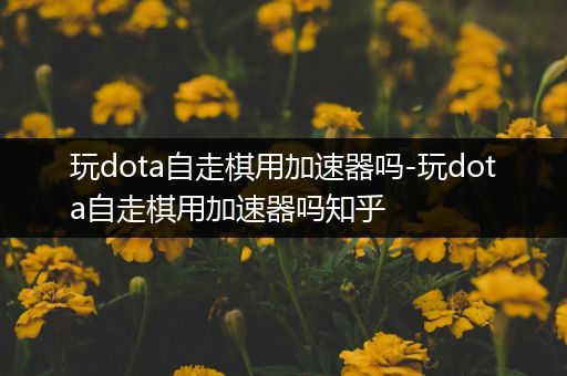 玩dota自走棋用加速器吗-玩dota自走棋用加速器吗知乎