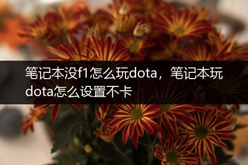 笔记本没f1怎么玩dota，笔记本玩dota怎么设置不卡