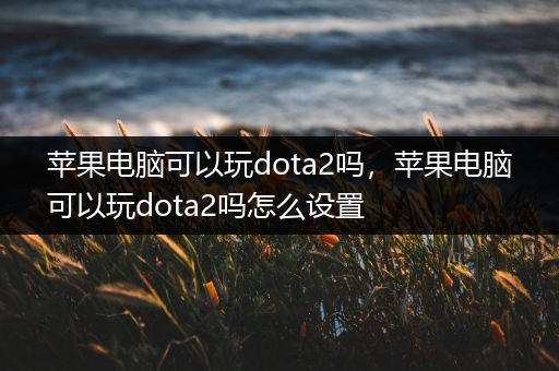 苹果电脑可以玩dota2吗，苹果电脑可以玩dota2吗怎么设置