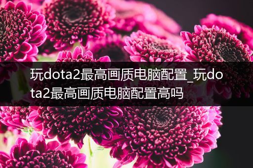 玩dota2最高画质电脑配置_玩dota2最高画质电脑配置高吗
