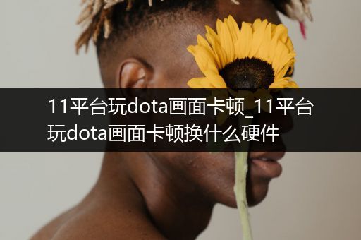 11平台玩dota画面卡顿_11平台玩dota画面卡顿换什么硬件