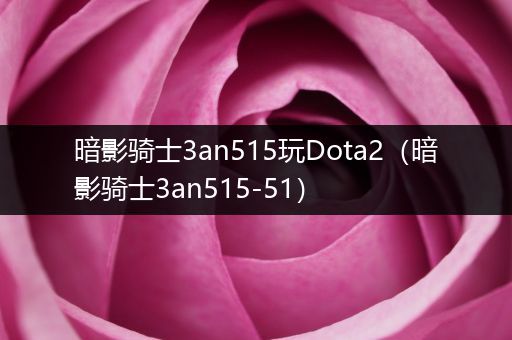 暗影骑士3an515玩Dota2（暗影骑士3an515-51）