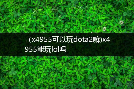 （x4955可以玩dota2嘛)x4955能玩lol吗