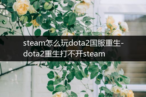 steam怎么玩dota2国服重生-dota2重生打不开steam