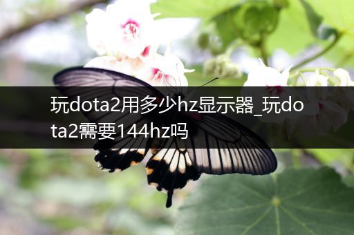 玩dota2用多少hz显示器_玩dota2需要144hz吗