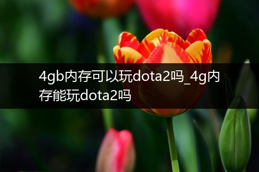 4gb内存可以玩dota2吗_4g内存能玩dota2吗