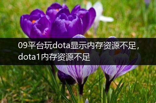 09平台玩dota显示内存资源不足，dota1内存资源不足