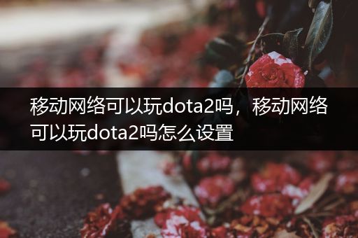 移动网络可以玩dota2吗，移动网络可以玩dota2吗怎么设置