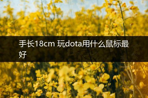 手长18cm 玩dota用什么鼠标最好