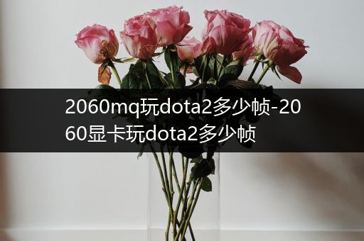 2060mq玩dota2多少帧-2060显卡玩dota2多少帧