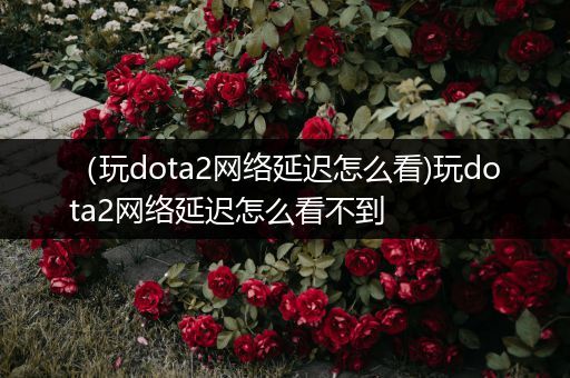 （玩dota2网络延迟怎么看)玩dota2网络延迟怎么看不到