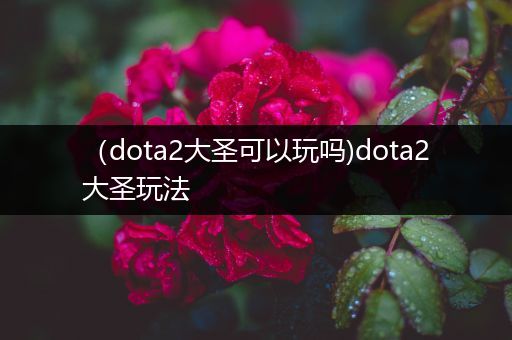 （dota2大圣可以玩吗)dota2大圣玩法