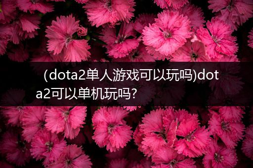 （dota2单人游戏可以玩吗)dota2可以单机玩吗?