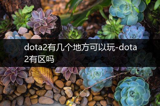 dota2有几个地方可以玩-dota2有区吗