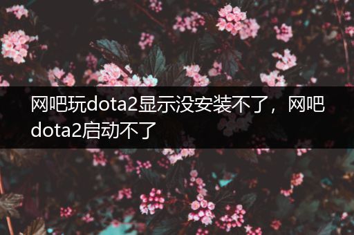 网吧玩dota2显示没安装不了，网吧dota2启动不了
