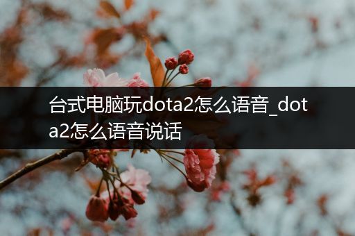 台式电脑玩dota2怎么语音_dota2怎么语音说话