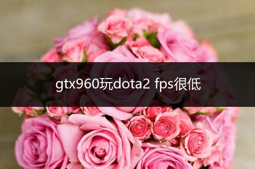 gtx960玩dota2 fps很低