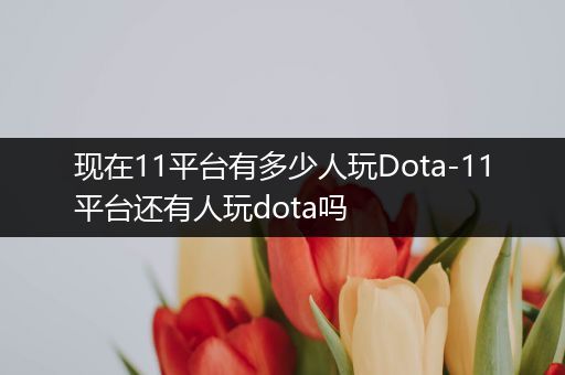 现在11平台有多少人玩Dota-11平台还有人玩dota吗