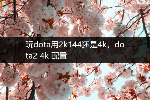 玩dota用2k144还是4k，dota2 4k 配置
