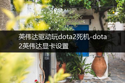英伟达驱动玩dota2死机-dota2英伟达显卡设置