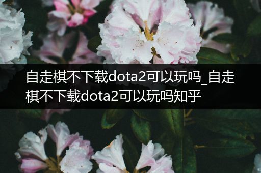 自走棋不下载dota2可以玩吗_自走棋不下载dota2可以玩吗知乎