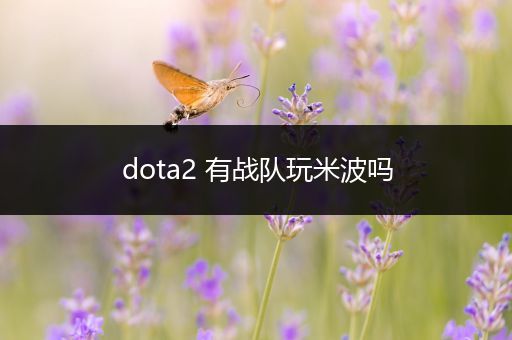 dota2 有战队玩米波吗