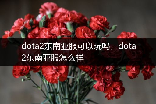 dota2东南亚服可以玩吗，dota2东南亚服怎么样