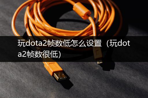 玩dota2帧数低怎么设置（玩dota2帧数很低）