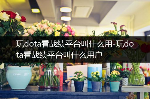玩dota看战绩平台叫什么用-玩dota看战绩平台叫什么用户