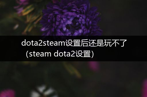 dota2steam设置后还是玩不了（steam dota2设置）