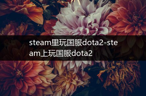 steam里玩国服dota2-steam上玩国服dota2