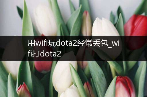 用wifi玩dota2经常丢包_wifi打dota2