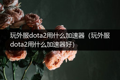 玩外服dota2用什么加速器（玩外服dota2用什么加速器好）