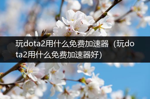 玩dota2用什么免费加速器（玩dota2用什么免费加速器好）