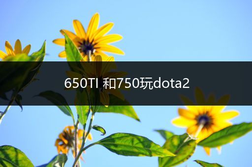 650TI 和750玩dota2