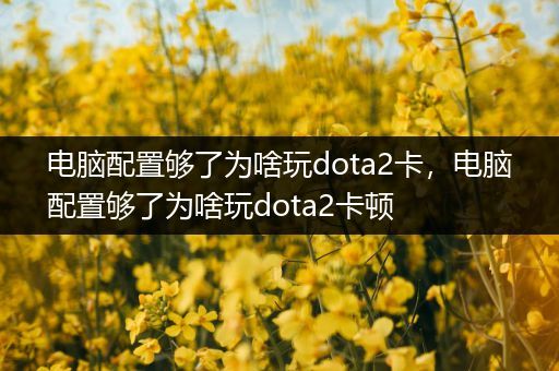 电脑配置够了为啥玩dota2卡，电脑配置够了为啥玩dota2卡顿
