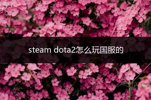 steam dota2怎么玩国服的