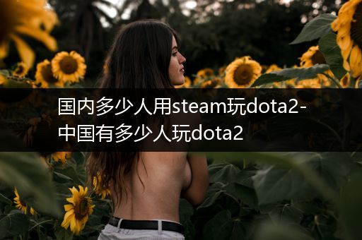 国内多少人用steam玩dota2-中国有多少人玩dota2