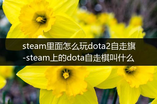 steam里面怎么玩dota2自走旗-steam上的dota自走棋叫什么