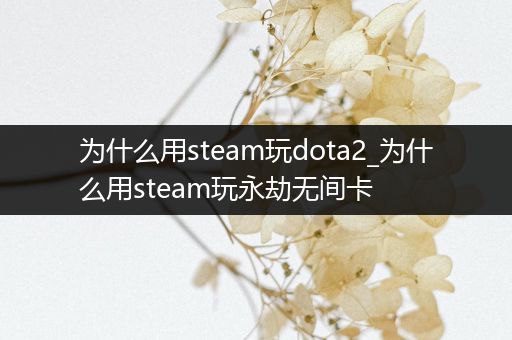 为什么用steam玩dota2_为什么用steam玩永劫无间卡