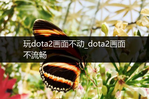 玩dota2画面不动_dota2画面不流畅