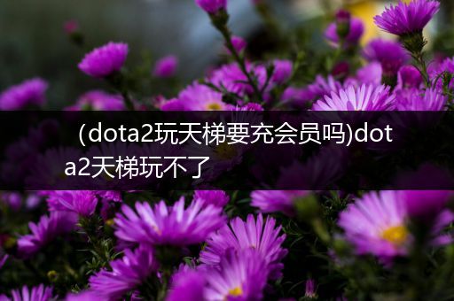 （dota2玩天梯要充会员吗)dota2天梯玩不了