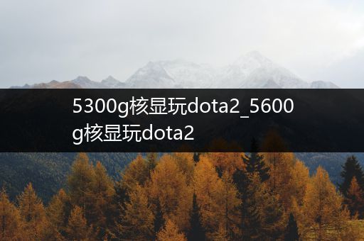 5300g核显玩dota2_5600g核显玩dota2